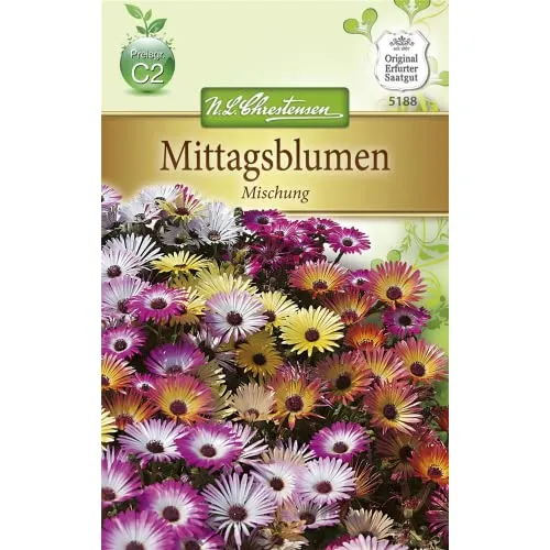 Chrestensen Mittagsblumen 'Mischung'