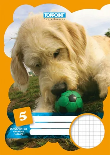 Stylex Schreibwaren Schulheft Schulheft DIN A5 Lineatur 5 kariert 5mm