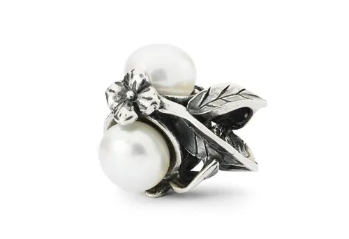 Trollbeads Verborgene Schönheit Bead TAGBE-00287 - Armbänder & Charm-Anhänger, eleganter Charm aus 925er Silber, der jedem Schmuckstück eine besondere Note verleiht.