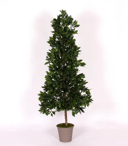 artplants Kunst Kirschlorbeer Pyramide KUSJENKA, 150cm - Künstlicher Kirschlorbeerbaum mit Naturstamm, ideal für die dekorative Gestaltung von Innenräumen. Pflegeleicht und langlebig, bringt er frisches Grün in Ihr Zuhause.