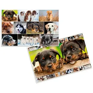 HERMA Schreibtischunterlagen Hunde Karton 55,0 x 35,0 cm, 3 St. (4008705924634)