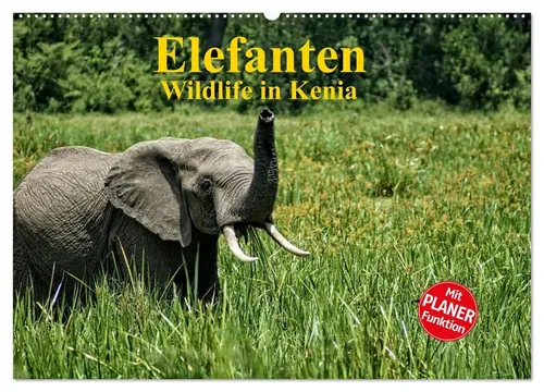 Susan Michel | Elefanten - Wildlife in Kenia (Wandkalender 2026 DIN A2 quer) - Imposanter Wandkalender mit atemberaubenden Elefantenmotiven aus Kenia. Ideal für Tierliebhaber und Afrika-Fans, bringt er die Schönheit der Natur in Ihr Zuhause.
