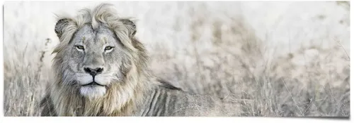 Reinders! Poster Löwe, (1 St) in gelb von Reinders!