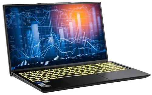 CAPTIVA Power Starter I91-057 Notebook - 17.3 Zoll Full HD Laptop mit INTEL Core i7 1355U, 32GB RAM und 500GB SSD – ideal für anspruchsvolle Anwendungen und hohe Leistung unterwegs.