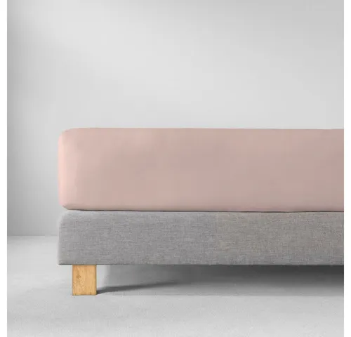 Estella Bettlaken Feinjersey - Rundumgummi, 100% Baumwolle - Hochwertiges Spannbettlaken aus 100% Baumwolle mit optimaler Passform und Langlebigkeit, ideal für jeden Schlafbereich.