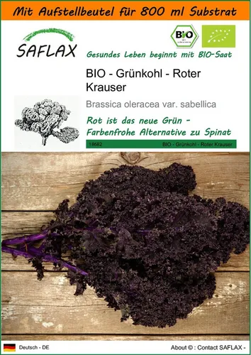 SAFLAX Gemüsesamen SAFLAX - Garden in the bag - BIO - Grünkohl - Roter Krauser