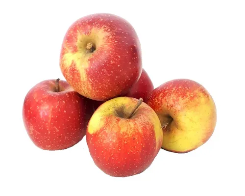 Wellant Allergikerapfel 10 KG aus Deutschland