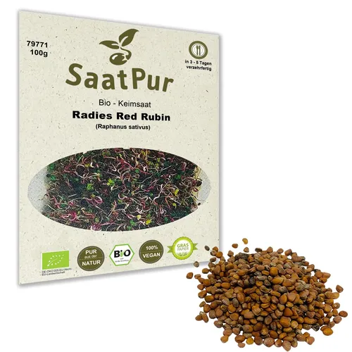 100g BIO Keimsaat für Sprossen Radies Red Rubin Samen Keimsprossen Microgreens