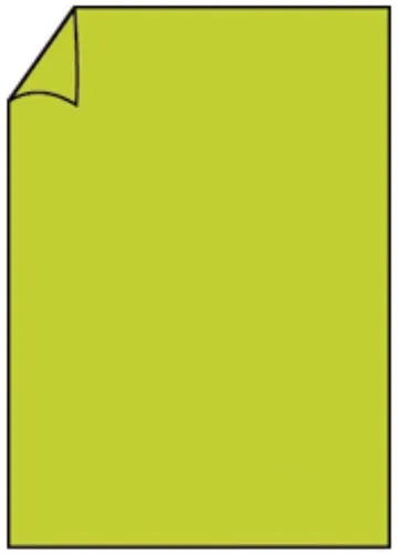 Briefbogen A4 165g 10ST h'grün in grün von Rössler Papier