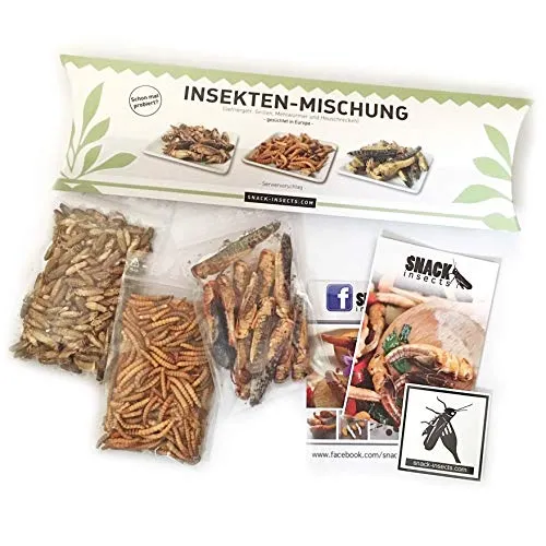 ESSBARE INSEKTEN MIX – Heuschrecken, Mehlwürmer & Grillen von Snack-Insects