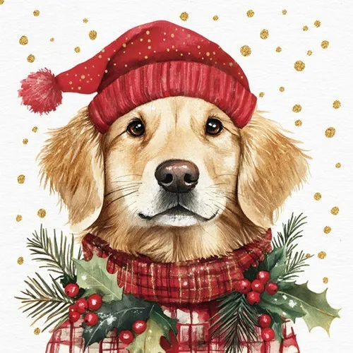 Servietten Simon Hund Winter-Outfit Schal Mütze Sterne Weihnachten 33x33cm 20