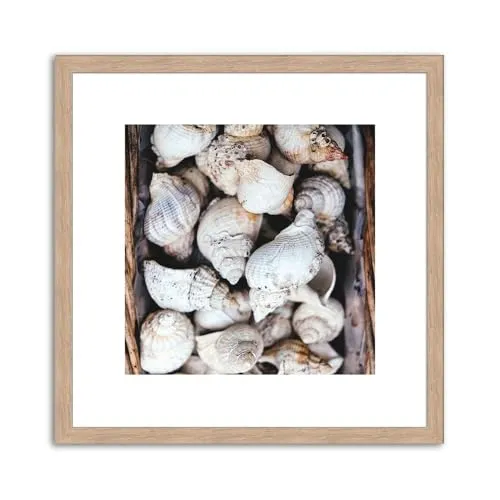 artissimo, Design-Edition, gerahmtes Poster, 30x30cm, PE6373-ER, Beach Impressionen: Muscheln, Bild, Wandbild gerahmt, Design-Poster mit Rahmen, skandinavisches Design, Strand und Meer
