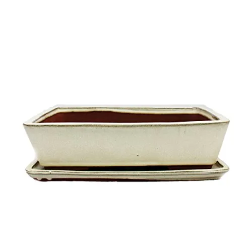 Exotenherz Bonsai-Schale mit Unterteller Gr. 5 in beige von Exotenherz