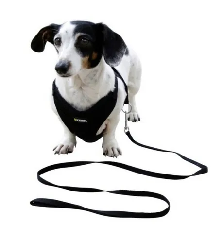 Kerbl Hunde-Geschirr Welpengeschirr schwarz 24 cm - 44 cm 80677