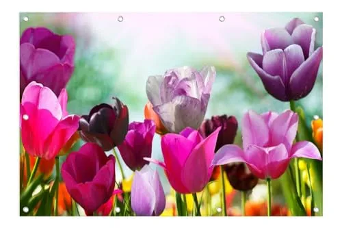 artissimo XXL Garten-Poster 120x80cm PE6748-GP wetterfestes Outdoor-Poster, Blumen bunt Gartenbild florales Motiv, farbenfrohe Wanddeko für draußen