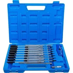 Spezial-T-Griff-Schraubendrehersatz - 19-teilig - Metallwerkzeug mit robusten Chrom-Vanadium-S2-Stahlteilen, ideal für präzise Arbeiten. Inklusive praktischer Kunststoffkassette für einfache Aufbewahrung.