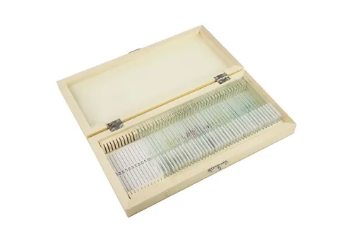 Omegon Omegon Dauerpräparate Set 40 Stück in Holzbox Auf- und Durchlichtmikroskop