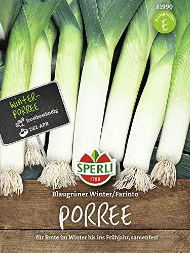 Mein schöner Garten DE SPERLI's Porree-Samen 'Blaugrüner Winter/Farinto' EH001418-001