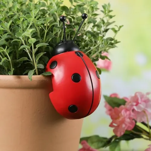 Pflanzschalen von Marelida