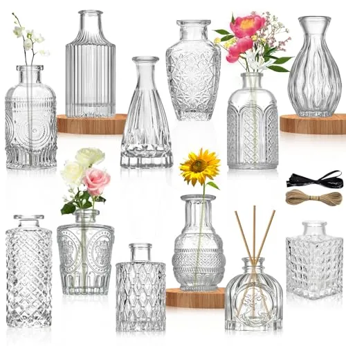 TAVADA Set von 12 kleineren Blumenvasen im Vintage-Stil, aus Glas, für Rosen, Pampas, Gras, Dekoration für Hochzeiten und Zuhause