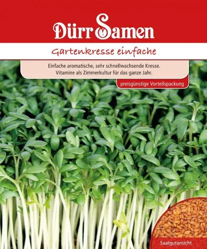 Pflanzen Orange von Dürr Samen