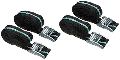 iapyx 4 Stück Spanngurte Klemmschloss 2.5m Zurrgurte Schnellverschluss