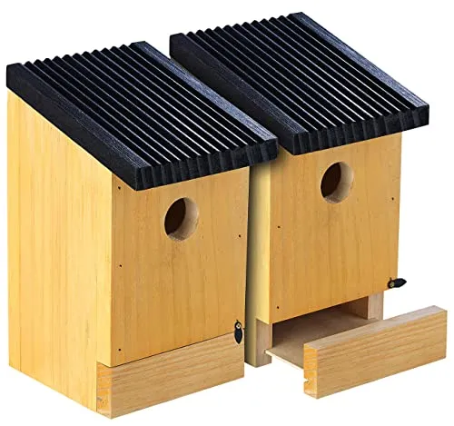 Royal Gardineer Vogel Nistkasten: 2er-Set Tannenholz-Nistkästen für Wildvögel, 22x14x12 cm, vormontiert (Vogelhäuser, Vogelhaus als Nistkasten, Bausatz)