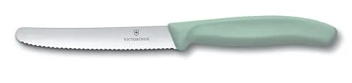 Victorinox | Tafelmesser Swiss Classic | 1 Stück | Hellgrün | Swiss Made | ideal auch als Frühstücksmesser