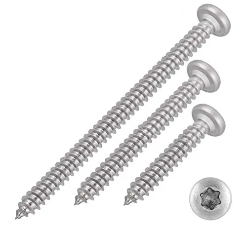 meinschraubenversand.de - Blechschrauben mit Linsenkopf und Innensechsrund 2,9x9,5 Torx Edelstahl ISO 14585 DIN 7981 Form C (mit Spitze) 2,9 x 9,5 mm 10 Stück