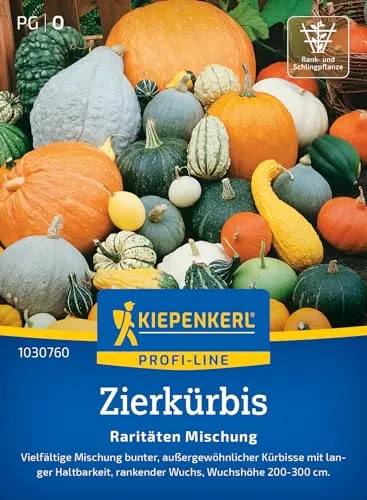 Kiepenkerl Profi-Line Zierkürbissamen Raritäten Mischung 1030760 für 10 Pflanzen – Bunte Kürbisse für kreative Dekorationen, ideal für Garten & Beet, lange haltbar