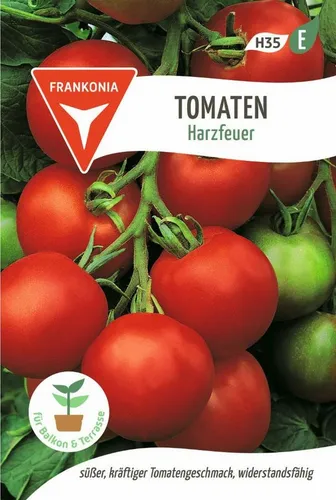 FRANKONIA Gemüsesamen Stabtomate, Harzfeuer F1 - Saatgut Samen, Solanum lycopersicum