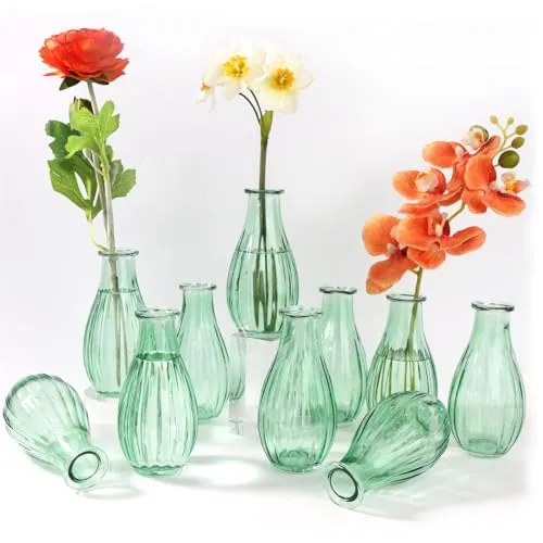 Otauoaea Kleine Glasvasen,10er Set Glasvase Klein Vasen für Tischdeko Hochzeit, 220ml Vintage Stil Deko Vasen Set, Mini Glasvasen für Tischdeko Zuhause Hochzeiten Geburtstage Feste, Spülmaschinenfest