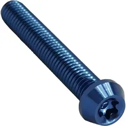 Aluschraube M5x30 Torx T25 blau in blau von F26