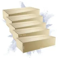 PROREGAL 5x Versandkarton 2-Wellig 1200x600x310mm - Stabile Faltkartons für sicheren Versand bis 30 kg. Ideal für mittelschwere bis schwere Güter. Einfaches Handling und zuverlässiger Schutz für deine Waren. Perfekt für alle gängigen Paketdienste.