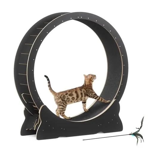 Mondeer Katzenlaufrad für Indoor-Katze, 110cm Laufband mit Abnehmbaren Teppichboden für Katzen Holzlaufrad Laufrad für Kleines Mittel Großes Katze Fitness-Gewichtsverlust-Gerät, Schwarz