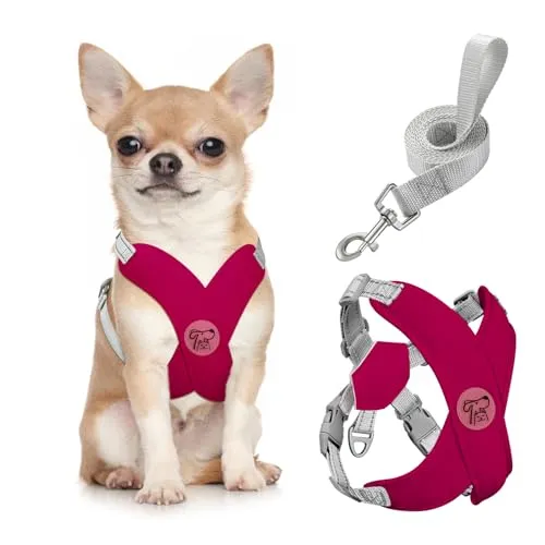 Pawaboo Hundegeschirr mit Hundeleine Set, X-Rahmen Verstellbares Anti Zug Anti-Erstickung Hund Brustgeschirr für Kleine, Mittelgroße Hunde & Welpen, Atmungsaktive Hundeweste mit Leine, S, Magenta