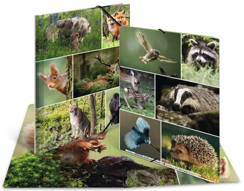 HERMA Eckspannermappe