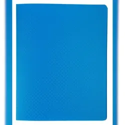 Exacompta 88210e Sichtmappe OPAK 10er Pack - Projektmappen aus blickdichtem Kunststoff mit 20 Klarsichthüllen (40 Sichten), ideal für eine übersichtliche und geschützte Präsentation Ihrer Unterlagen.