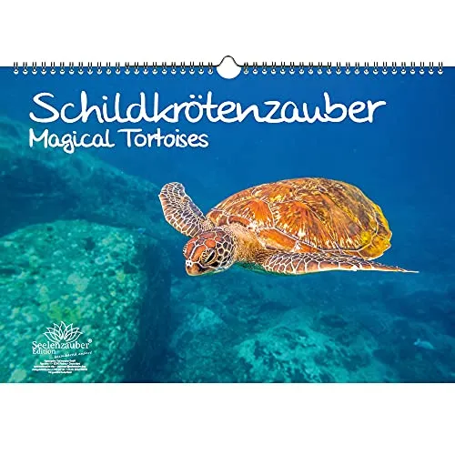 Schildkrötenzauber DIN A3 Kalender - Immerwährender Kalender Schildkröten - Seelenzauber