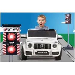 Jamara Blitzer Traffic Flash