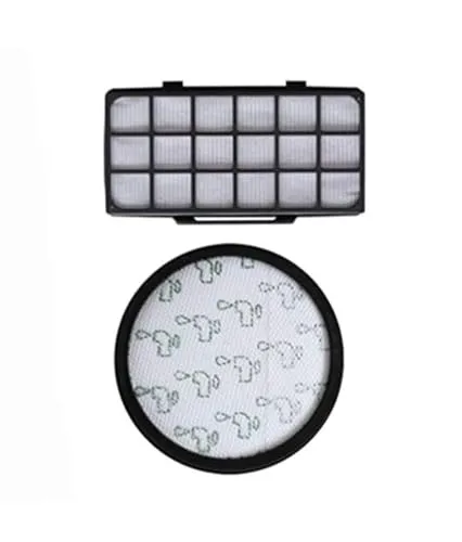 WuYan 2-teiliges Filterset für Rowenta HEPA RO7611 RO7623 RO7634 RO76 Staubsauger-Saugset Compact Power Zubehör RO6984EA