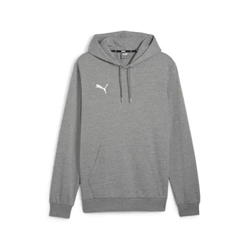 PUMA teamGOAL Casuals Hoody