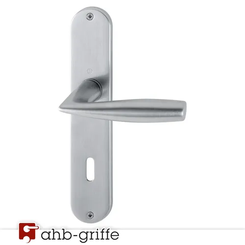 Hoppe Türdrücker Vitoria Langschild BB Chrom matt F41-R Türgriff Türbeschlag