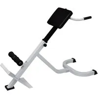 vidaXL Rücken- und Bauchtrainer - Sonstige Fitnessgeräte, ideal zur Stärkung der Rückenmuskulatur und Vorbeugung von Schmerzen – platzsparend und höhenverstellbar für bequemes Training zu Hause.
