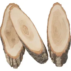 VBS Baumscheiben, oval, 3 Stück, ca. 30cmx12cm von VBS