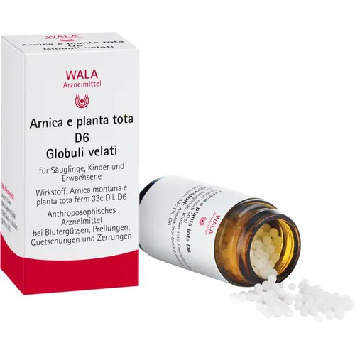 ARNICA E Planta tota D 6 Globuli 20 g