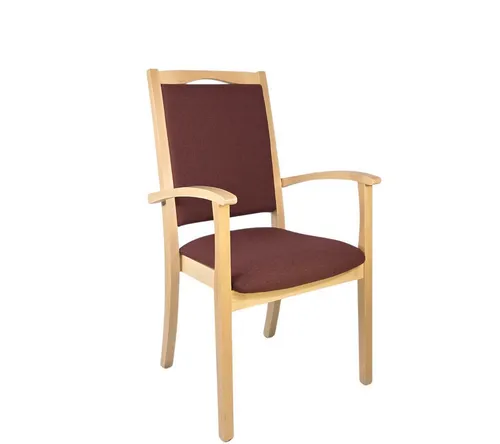 Erides Seniorenstuhl Alexander Hochlehner – Ergonomischer Pflegestuhl mit Armlehnen aus massiver Buche - Relaxsessel & -liegen: Hochlehner mit stabilen Armlehnen, gepolstert für höchsten Sitzkomfort – ideal für Senioren und Pflege. Sofort einsatzbereit, kein Aufbau nötig.