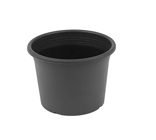 Megaplastic Pflanzkübel Cylinder (50 cm, Anthrazit)