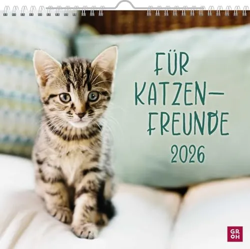 Wandkalender 2026: Für Katzenfreunde - Geschenkbücher für Frauen, niedlicher Katzenkalender mit bezaubernden Fotos und inspirierenden Zitaten für jeden Monat.