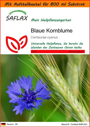 SAFLAX Blumensamen SAFLAX - Garden in the bag - Blaue Kornblume